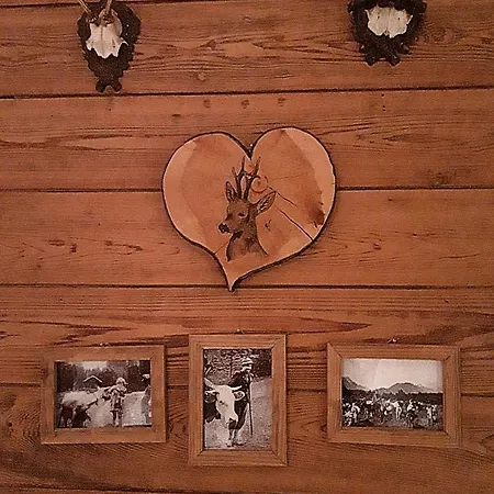 Hotell Berggasthof Kärntner Alm